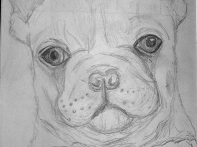 You like degs? puppy sketch