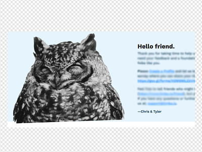 Hello Friend owls