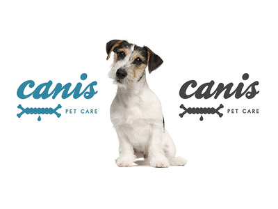 Canis branding canis dog logo pet shower