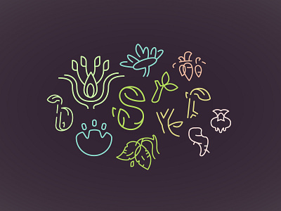 Blooms, Stems, & Roots Icons & Logomarks agricultural agriculture logo blooms branches environmental flower illustration flowers leaves lettering lettermark logomark organic petals roots stems vegetable logo vegetables