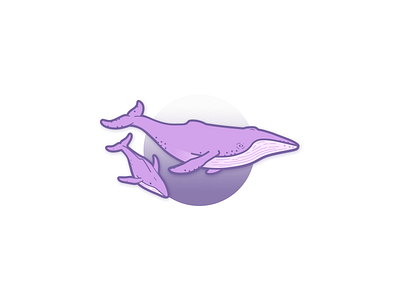 Purple Whales humpback illustration purple sea life whales
