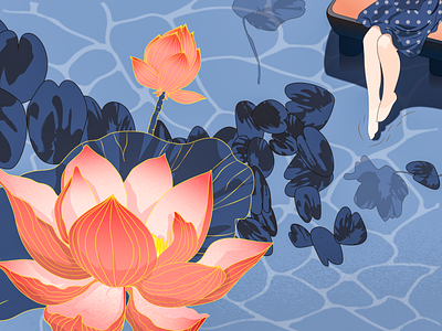 lotus illustration vector