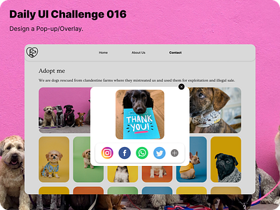 Daily UI Challenge 016 016 dailyui design overlay pop up ui ux