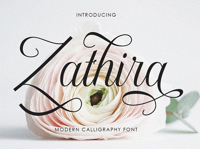 Zathira branding calligraphy fonts graphic design logo typography vector