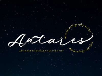 Antares branding calligraphy design font graphic design logo poster typography wedding