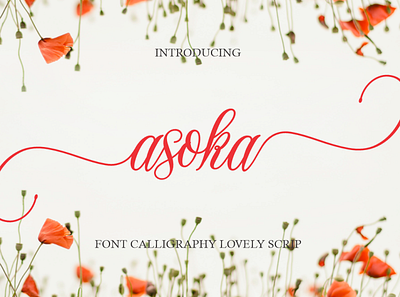 Asoka branding calli calligraphy font graphic design illustration logo magazine typography wedding