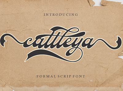 Cattleya branding calligraphy design font graphic design logo magazine poster t shirt typography wedding