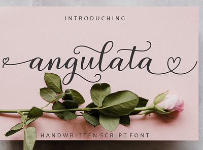 Angulata Script branding calligraphy design font graphic design illustration logo typography ui wedding
