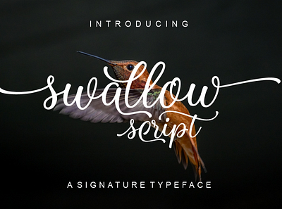 Swallow Script branding calligraphy design font graphic design illustration logo typography ui wedding