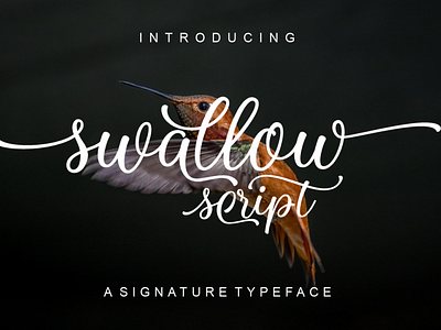 Swallow Script