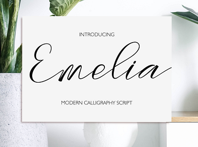 Emelia Script branding calligraphy design font graphic design illustration logo typography ui wedding