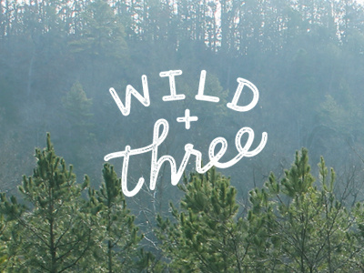 wild + three camping explore hand drawn lettering nature outdoors script three tree typography woods