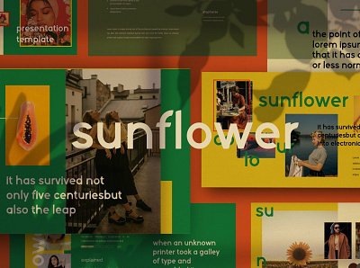 Sunflower - Google Slide 3d animation app branding design graphic design illustration logo ui vector