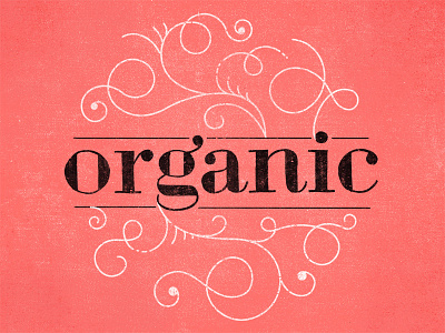 Whole Foods Kitchen Branding branding food lettering organic texture