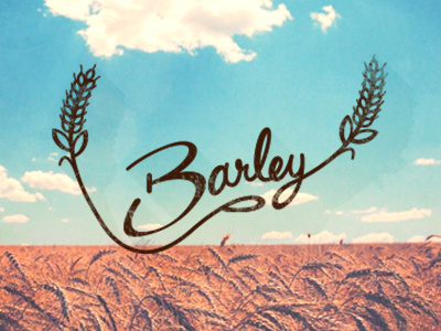 Barley barley handlettering script