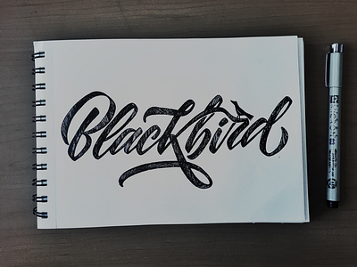 Blackbird beatles black blackbird handlettering lettering texture