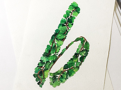 Watercolor lettering leaves