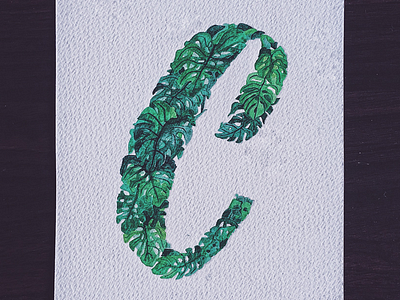 C for Chuck. design drawing handlettering handmade illustration lettering monstera typography watercolor