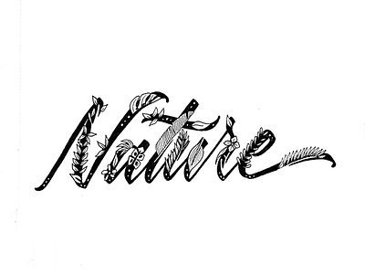 Naturaleza calligraphy design drawing handlettering handmade illustration lettering typography