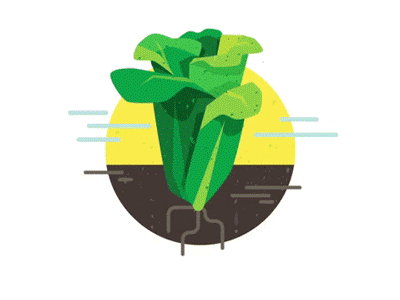 Harvest of the Month Illustrations animation carrots harvest illustration vegetables veggies
