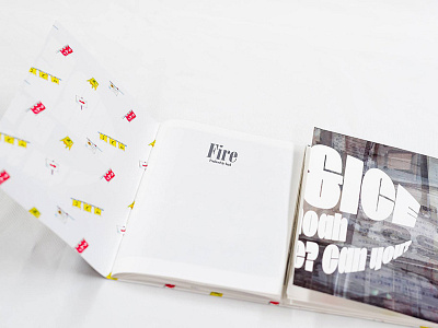 Fire&Ice design graphic lettering typing typography zine