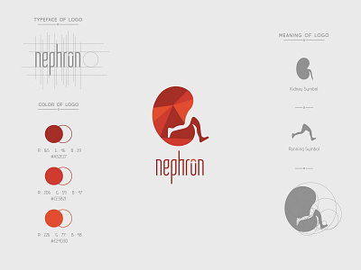 Nephron