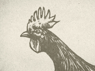 Rooster illustration sketch texture