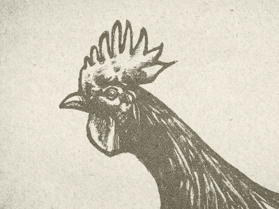 Rooster