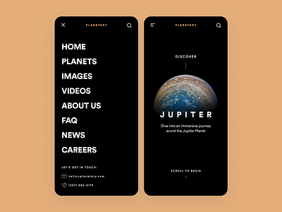 Planetary | Planets Discovery App app app design application clean fonts geometry icon jupiter logo mobile planet typography ui ux web