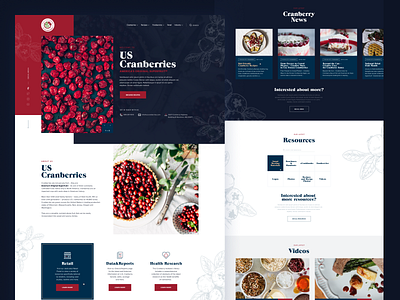 US Cranberries - Recipes Website Mockup Redesign clean cranberries cranberry geometric illustration landing landing page logo onepage page recipes typography ui ux web web page website wordpress