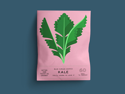 KALE botanical food food illustration geometric illustration kale plant vegetable