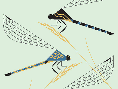 Dragonflies dragonfly geometric illustration insect