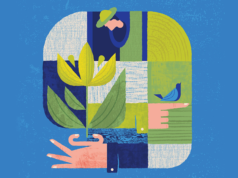 The Gardener color bird flower people pattern geometric garden gardener human illustration