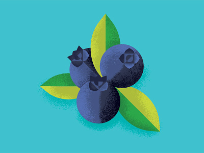 Blueberries blueberries fruit geometric illustration shading