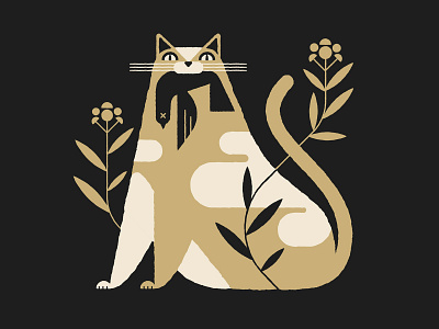 Cat Illustration Designs Themes Templates And Downloadable Graphic Elements On Dribbble