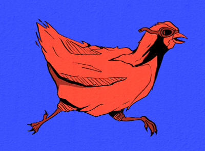 Chicken Illustration chicken drawing galinha illustration ilustração nankim photoshop