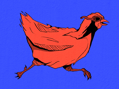 Chicken Illustration