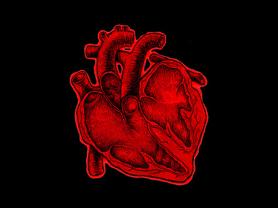 Cœur écorché anatomie cœur hearth illustration