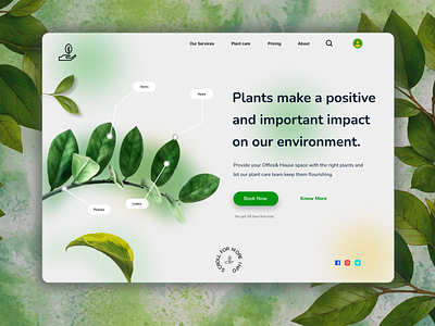 Plant Life Care | Web UI Design