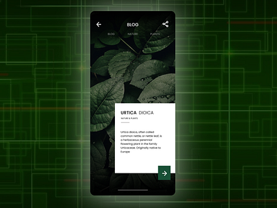 Nature& Plants Blog | App | UI Design