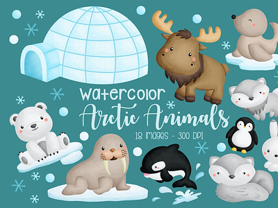 Watercolor Arctic Animal Clipart seal clipart