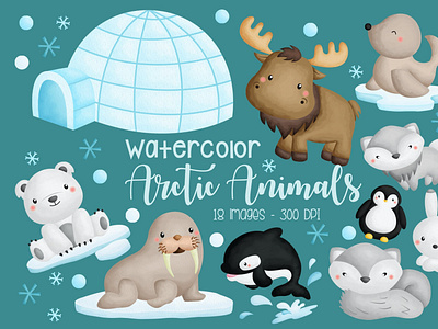 Watercolor Arctic Animal Clipart