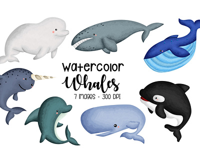 Watercolor Whale Type Clipart