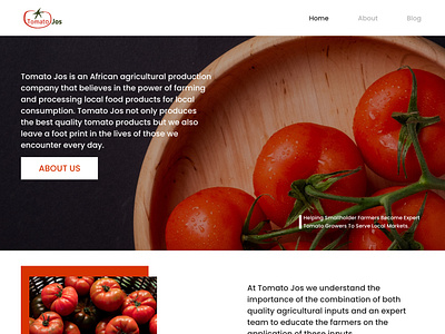 Tomato Jos design homepage design ui web