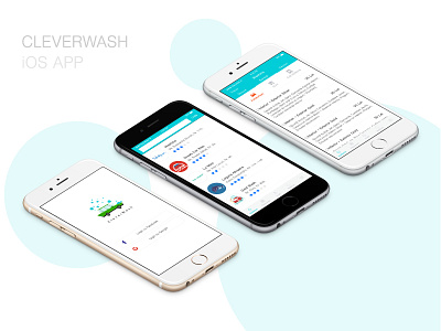 CleverWash iOS App