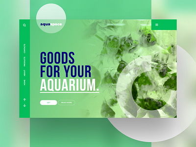Aquaspace concept ui webdesign