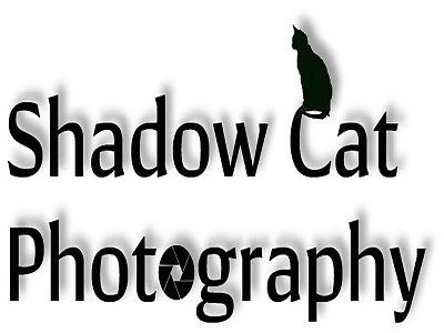 Shadow Cat Photography Logo branding graphic design logo