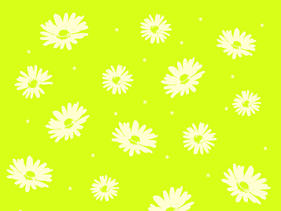 chamomile cute summer white-green background