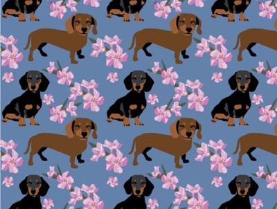 Dachshund dogs and pink flowers with denim blue background animal art dog art graphic design illustration print and pattern vector