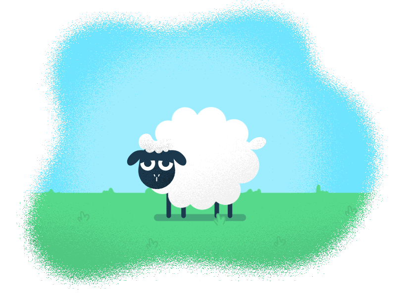 Lonely sheep 🐑